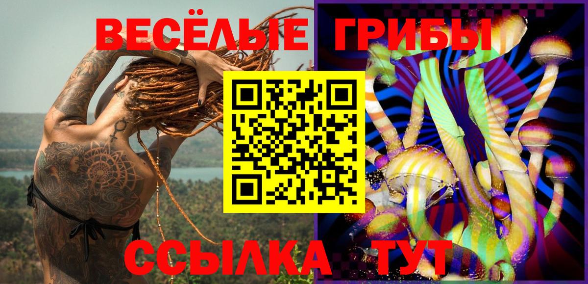 Галлюциногенные грибы прущие грибы Менделеевск